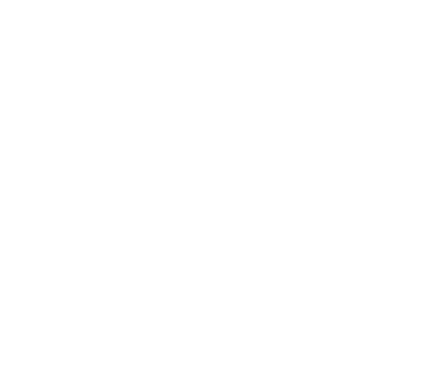 INTCO Logo
